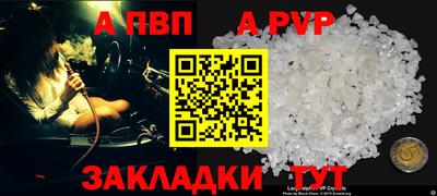 шишки Тара