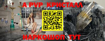 шишки Тара