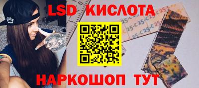 шишки Тара