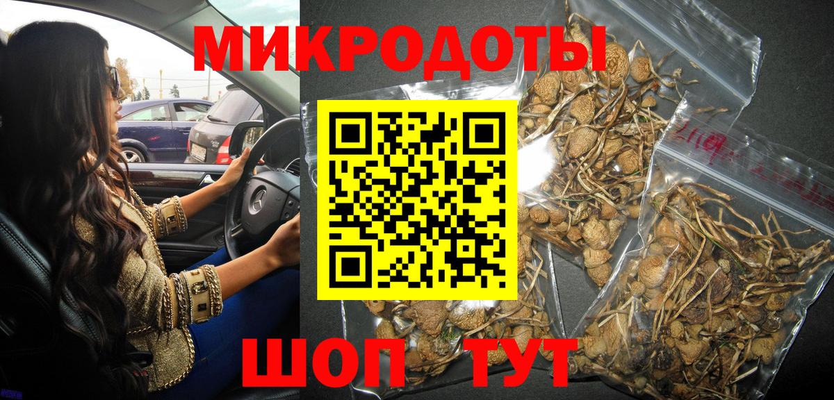 Нарьян-Мар  Псилоцибиновые грибы мухоморы  Вход с VPN  Псилоцибиновые грибы Psilocybine cubensis 